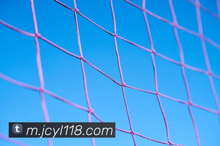 战术分析频道